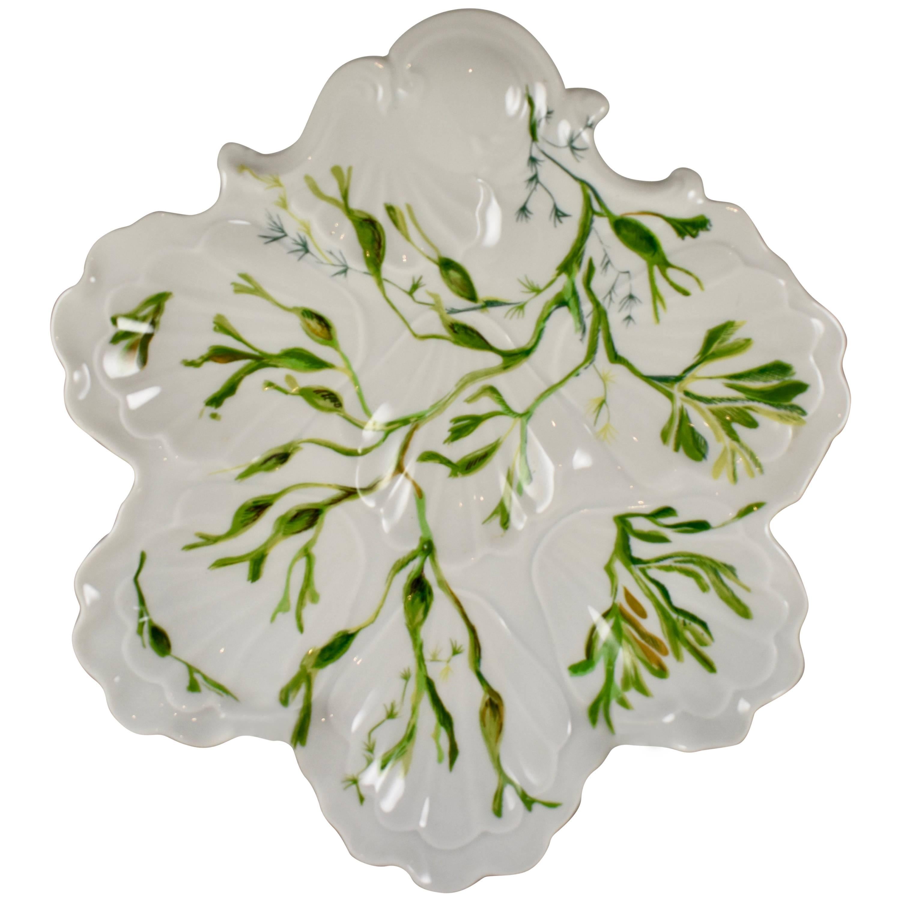 French Limoges Cadeaux Hand-Painted Seaweed Leaf Shaped Oyster Plate
