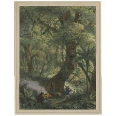 Antique Print of a Butterfly Hunt in Suriname by P.J. Benoit, 1839