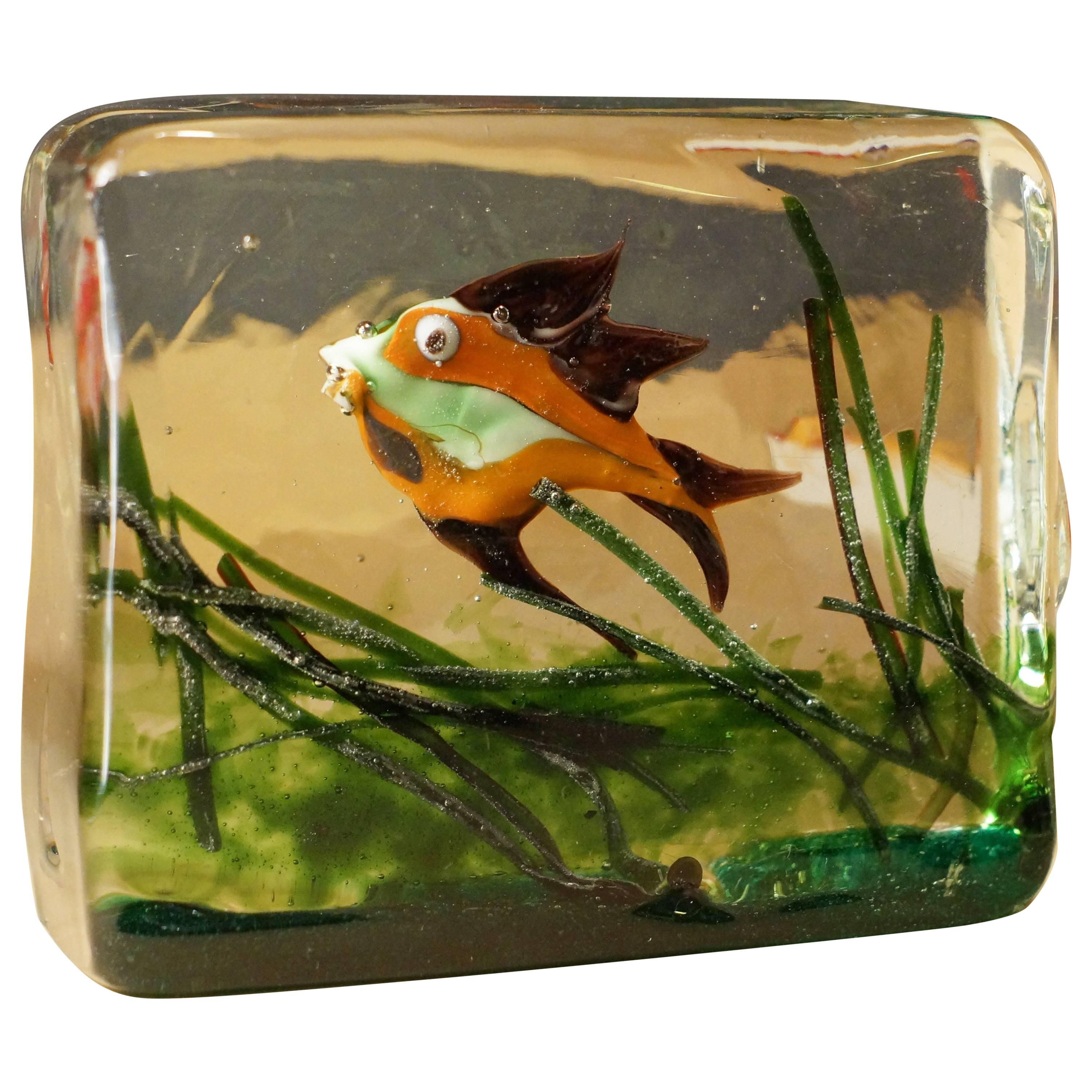 Aquarium Glass Cenedese Murano Paperweight Fish by Ricardo Licata