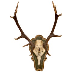 19th Century Red Stag Hunt Trophy of Emperor Franz Joseph's Kaiservilla