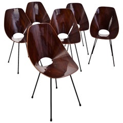 'Medea' Chairs by Vittorio Nobili, Italy, 1960s