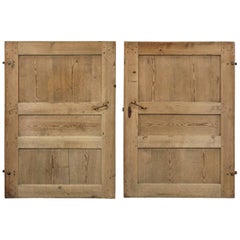 Pair of Primitive Doors from Sweden, circa 1820