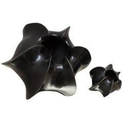 Bronze Vases Starfruit Objects