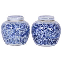 Pair of Chinese Export Style Blue and White Porcelain Ginger Jars