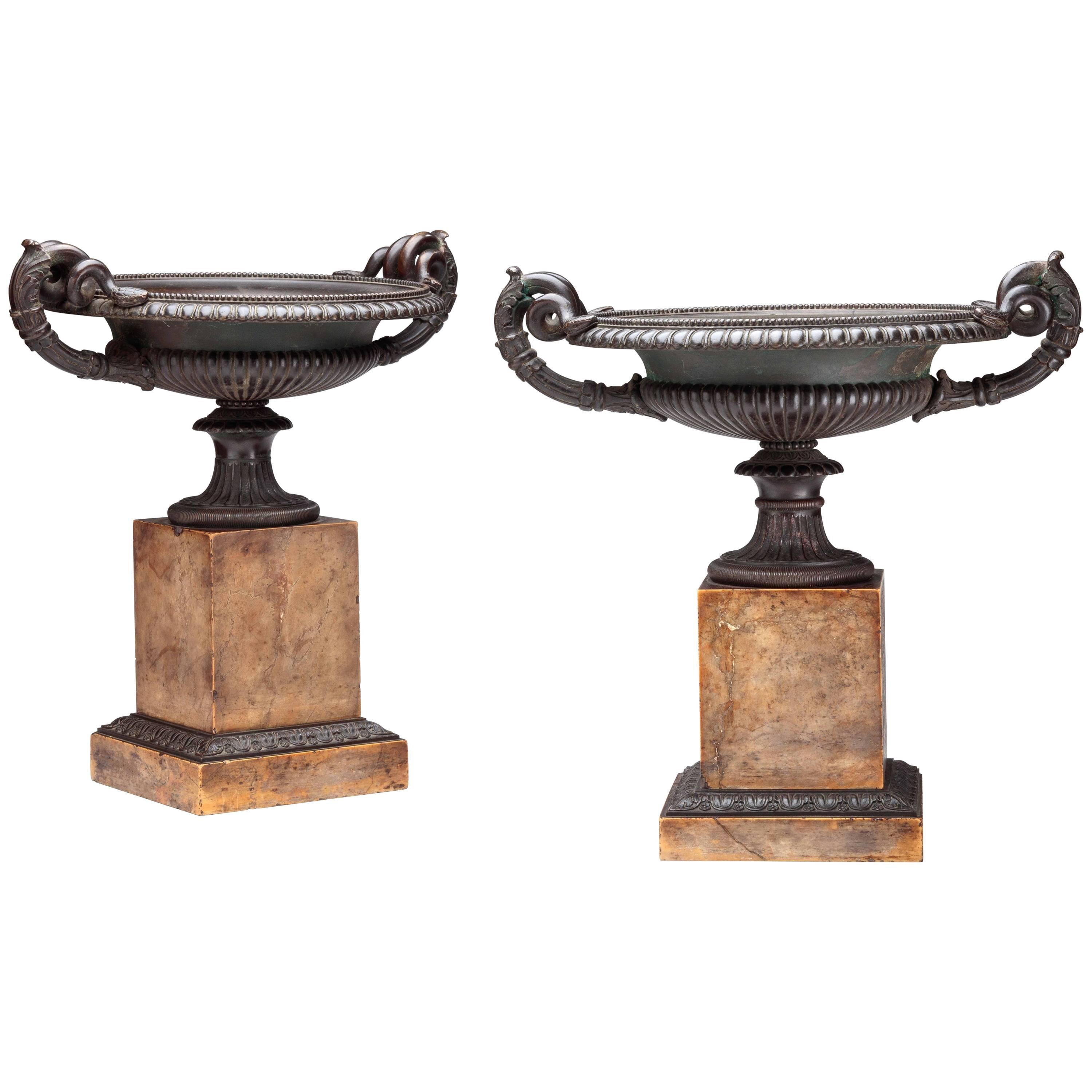 Pair of Bronze Tazza on Sienna Marble Bases For Sale