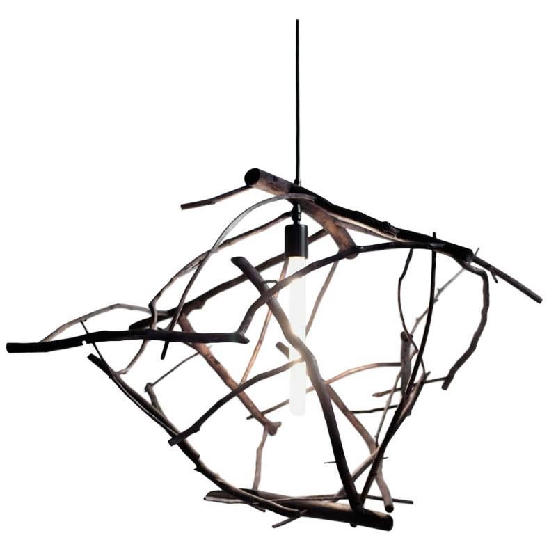 Lampe à suspension collectionnée à la main, en branches délavées d'océan par Hinterland Design en vente