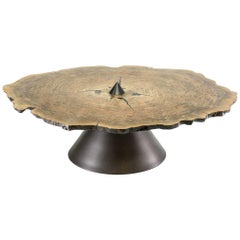 Halo Coffee End Table in Bronze and Walnut 