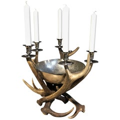 Antler Candlestick Holder with Bowl