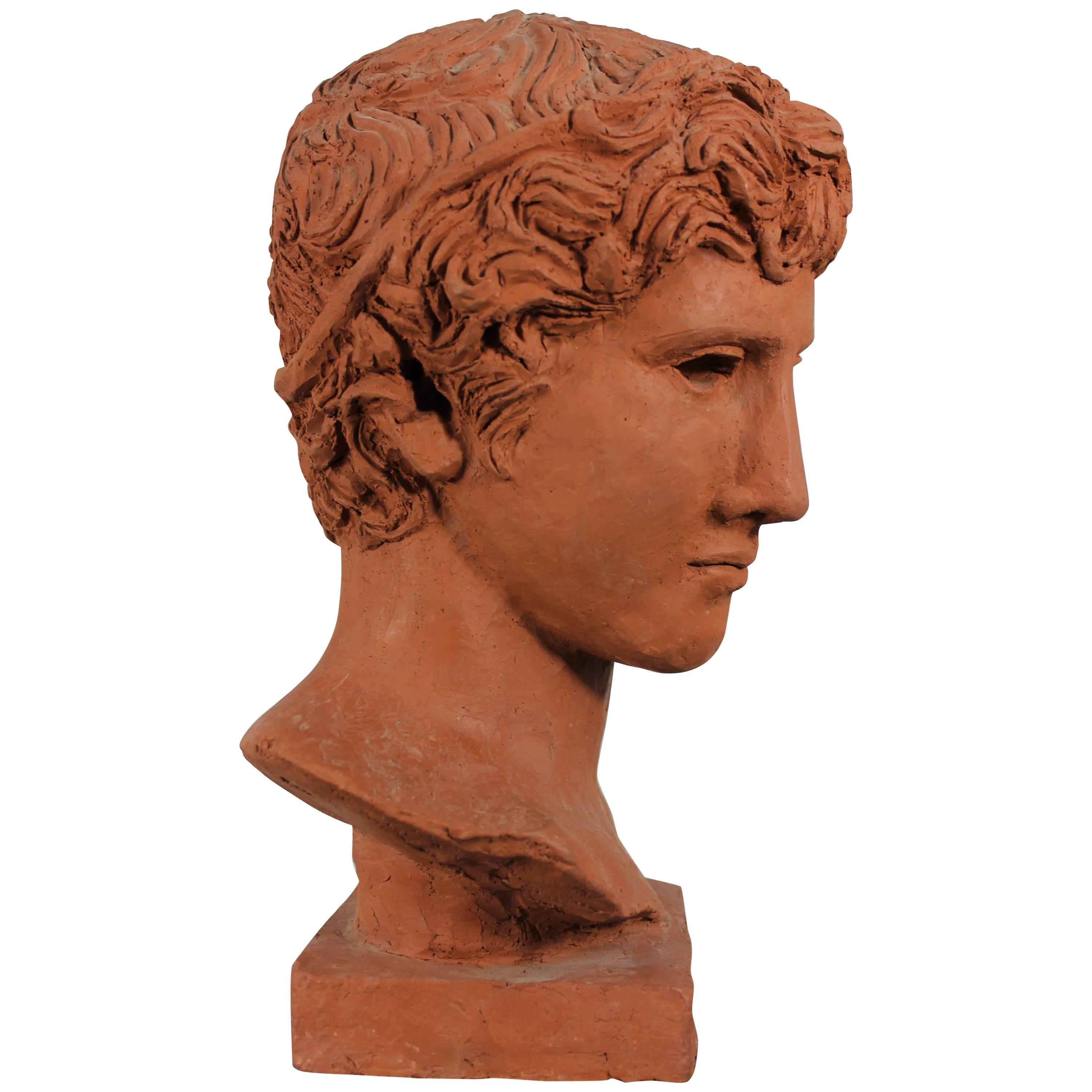 Bust of a Young Man, Antique Ephebe by Morin Dry
