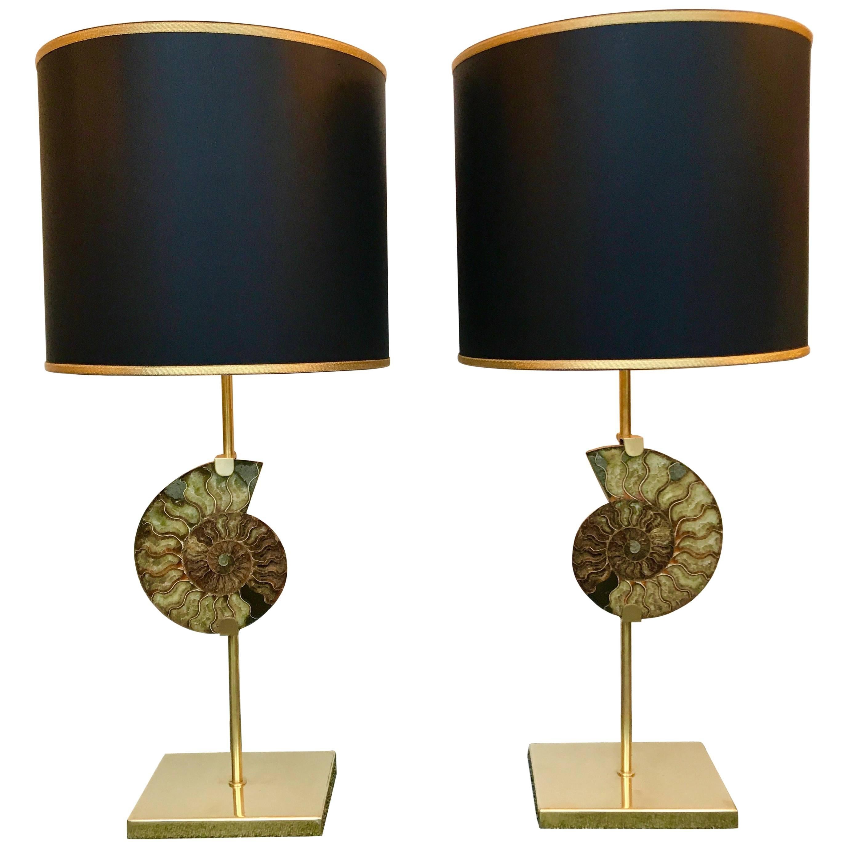 Pair of Lamps Brass Ammonite Fossil, Contemporary, Italy