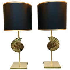 Pair of Lamps Brass Ammonite Fossil, Contemporary, Italy