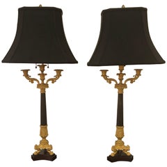 19th Century Pair of Charles X Ormolu and Bronze Candelabra Lamps