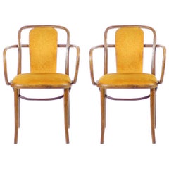 Antique Bentwood Chairs in Original Gold Velvet Upholstery, Thonet Design, circa 1920