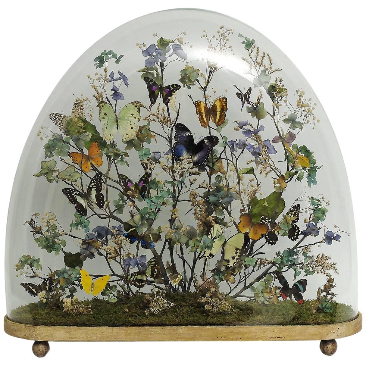 Splendid and Unique Wunderkammer Diorama with Butterflies and Flowers