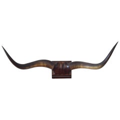 Spanish Cow Horns Mounted on a Carved Walnut Backplate, Turn of the 20th Century