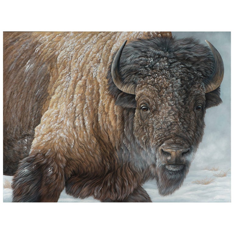 "Winter's Breath" Bison Painting by Anna Widmer For Sale
