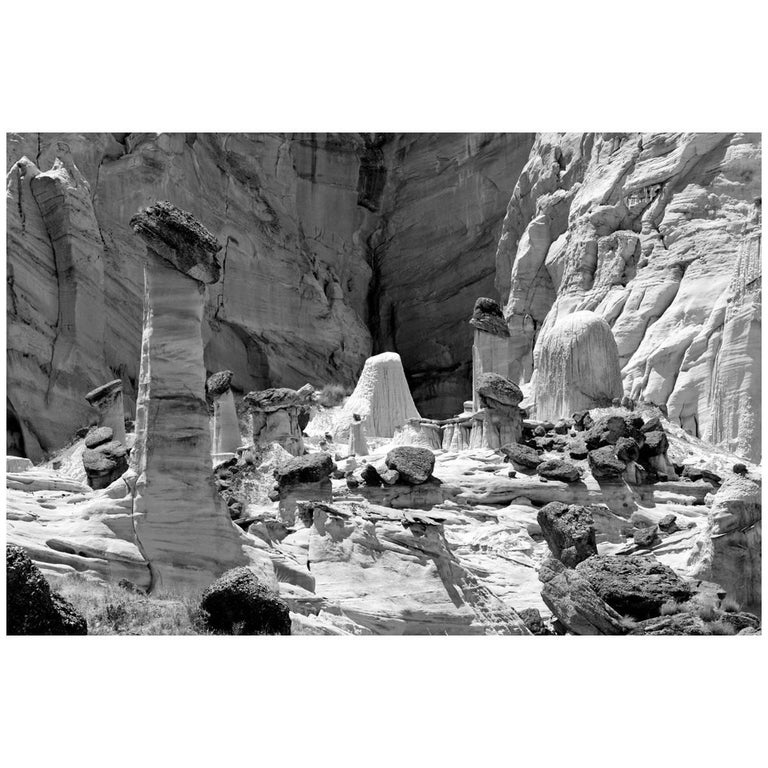 "Wahweap Hoodoos" by Gregg Felsen For Sale