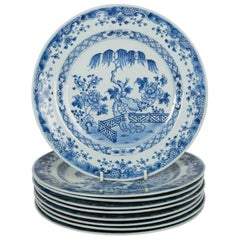 Antique Blue and White Chinese Export Plates a Set of Ten