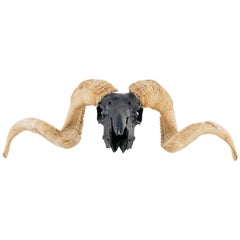 Artist Airbrushed Vintage Ram Skull and Horns