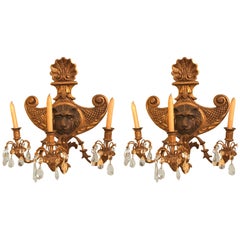 19th Century Pair of Carved Lion Head Shell Form Wooden Sconces
