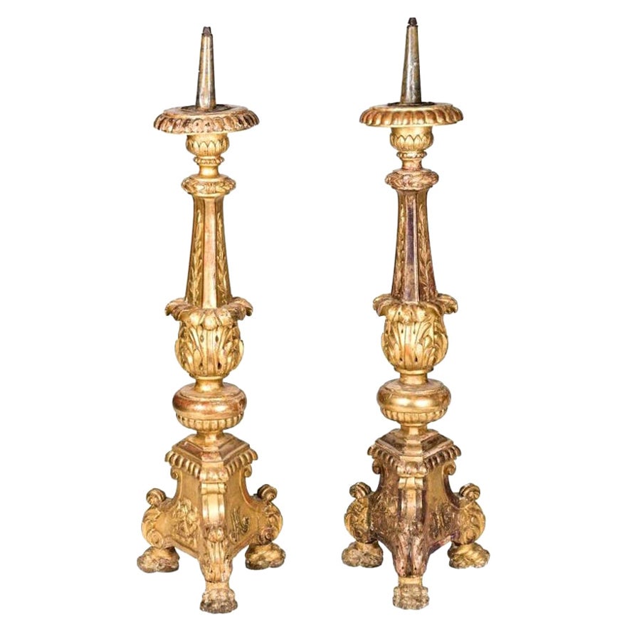 18th Century, Pair of Italian Grand Scale Gold Gilded Pricket Sticks For Sale