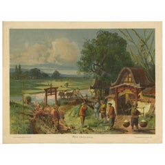 Grabado antiguo "Placa de escuela" de un arrozal por F.E. Wachsmuth, hacia 1900