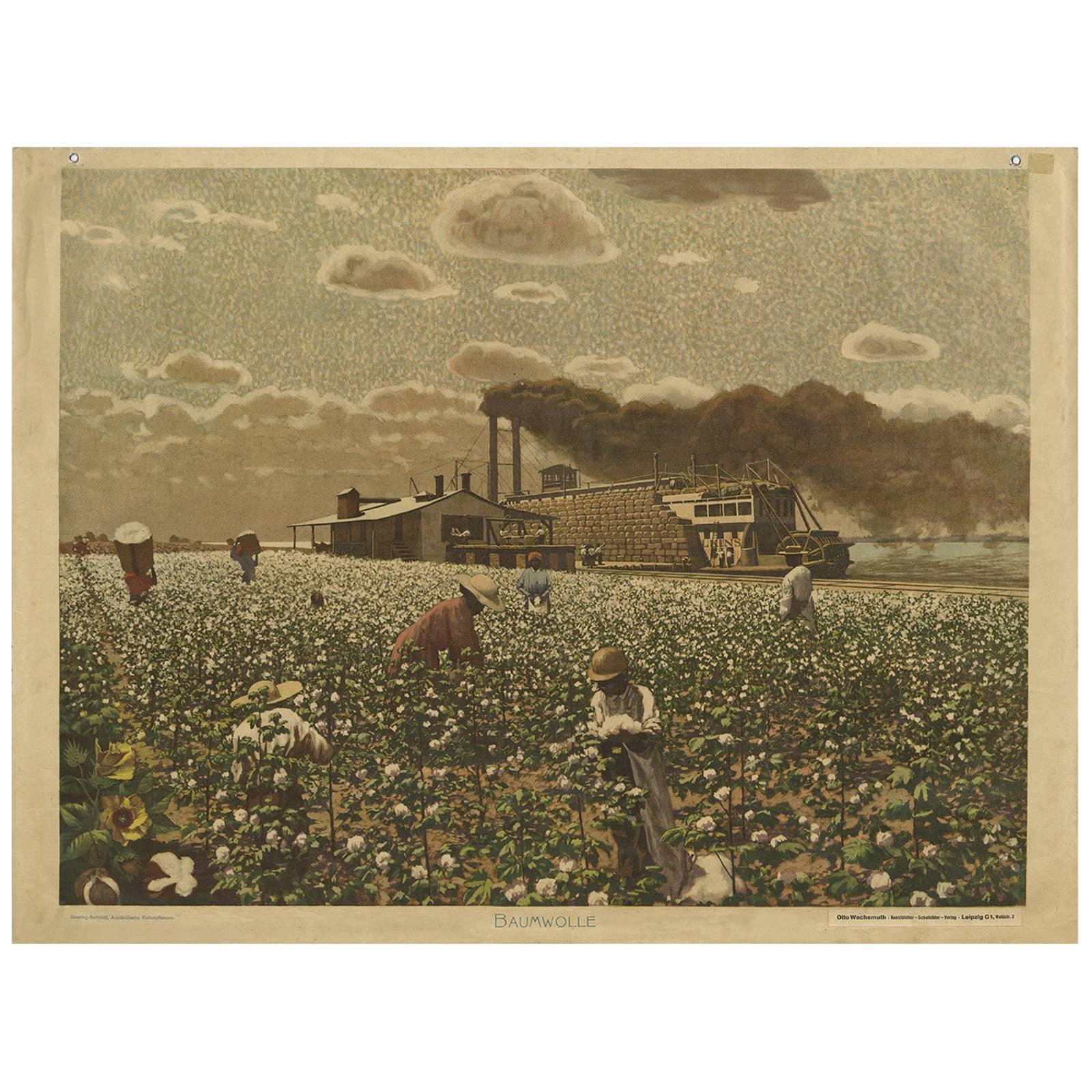 Antique Print 'Schoolplate' of a Cotton Field by F.E. Wachsmuth, circa 1900 For Sale