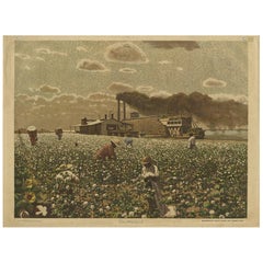 Used Print 'Schoolplate' of a Cotton Field by F.E. Wachsmuth, circa 1900