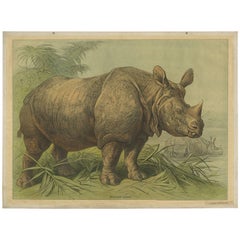 Antique Print 'Schoolplate' of an Indian Rhino, circa 1900