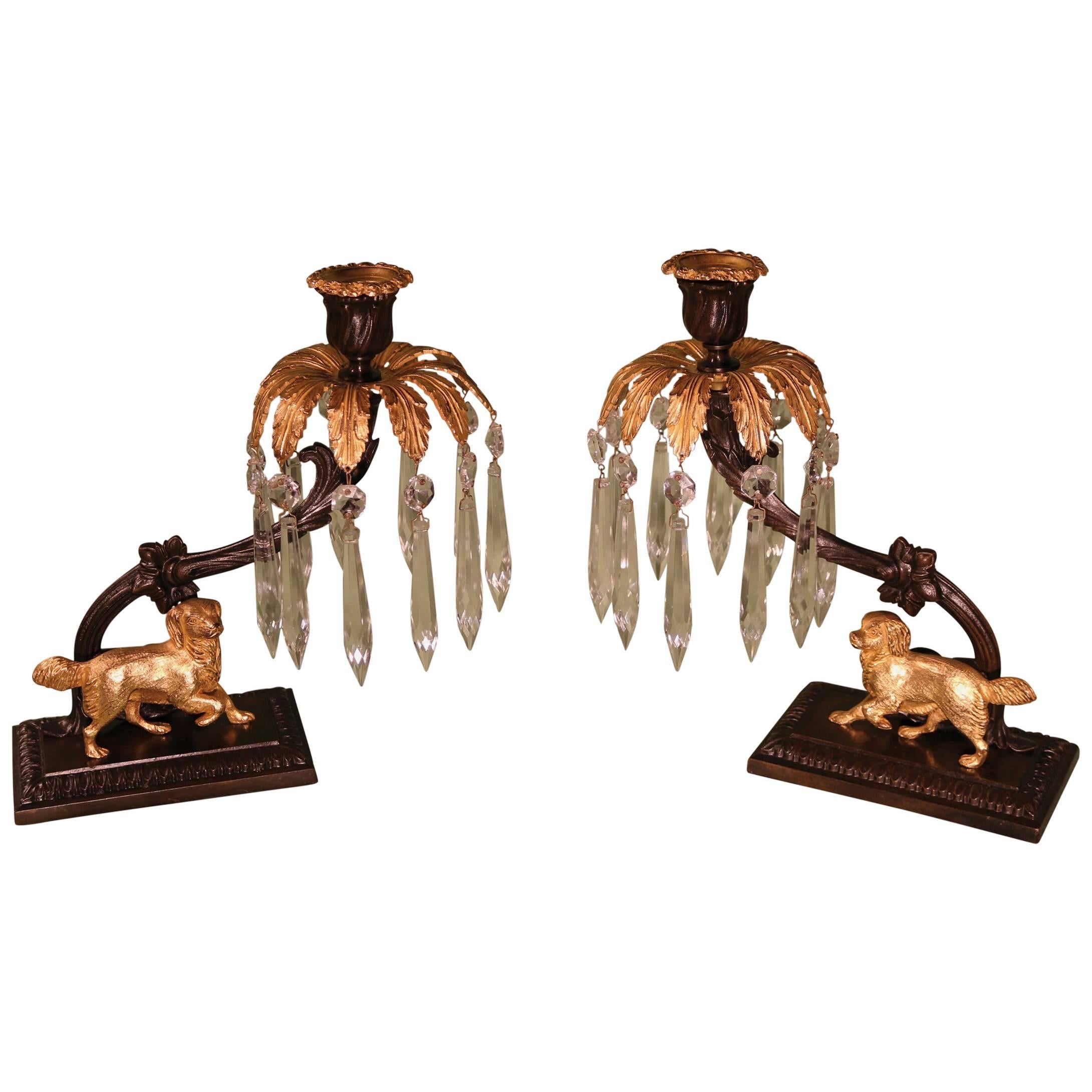 19th Century bronze and ormolu lustre candlesticks with dogs