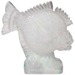 'Tropical Fish' in Opalescent Glass by Ferjac