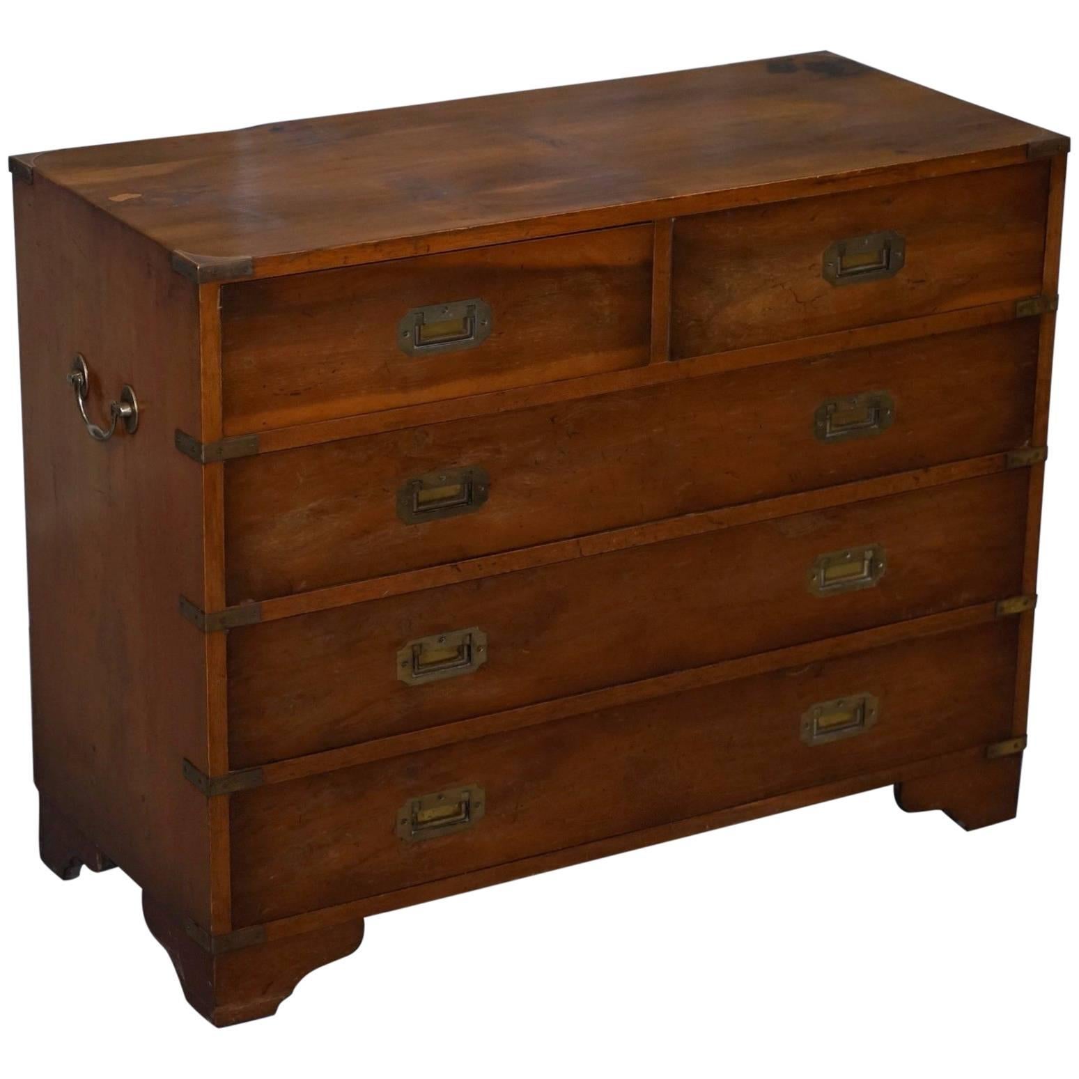 Yew Wood Veneer Military Campaign Chest of Drawers with Brass Fittings & Handles
