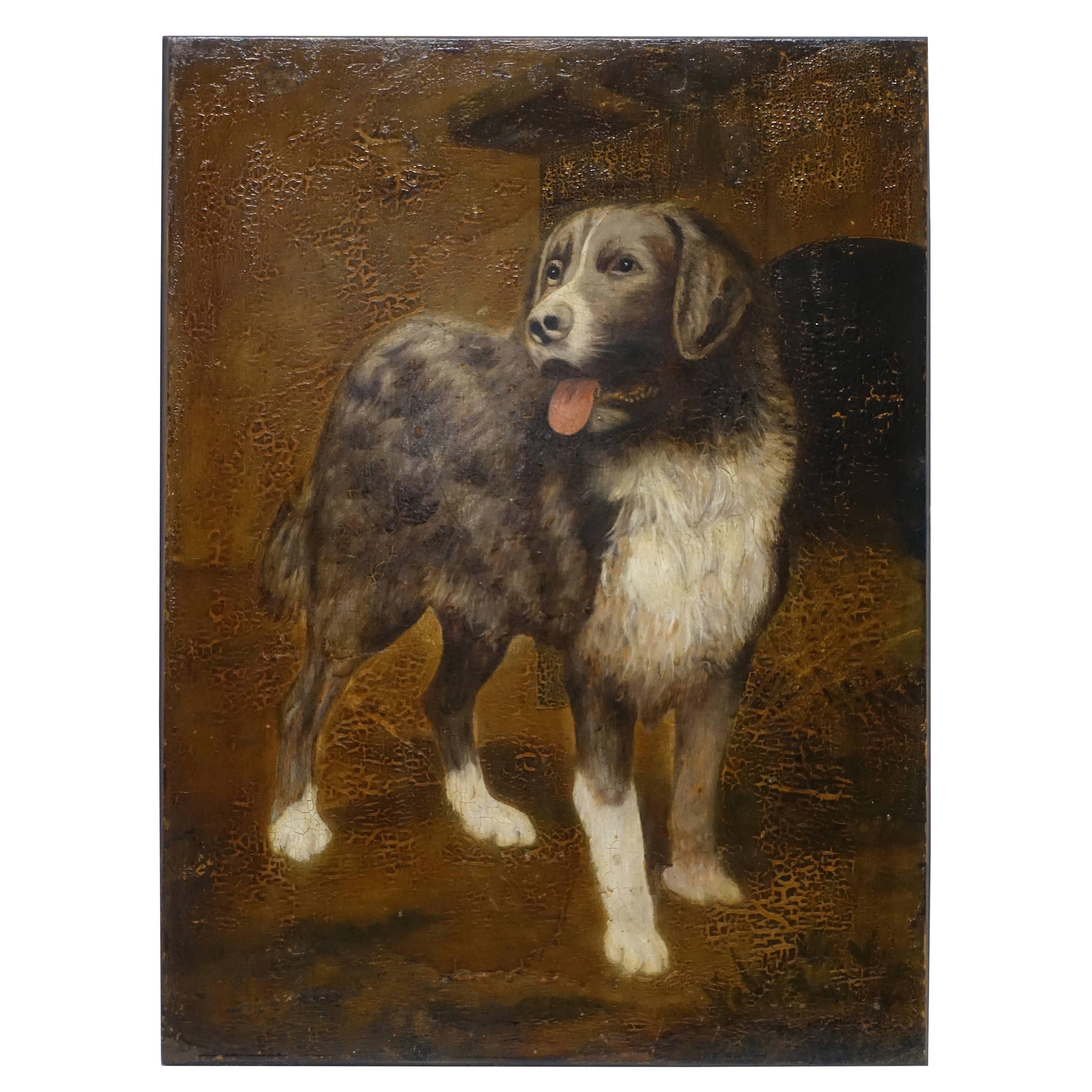 19th Century English Dog Portrait Painting For Sale