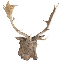 Terracotta Faux Bois Fallow Trophy with Antique Habsburg Antlers from Austria