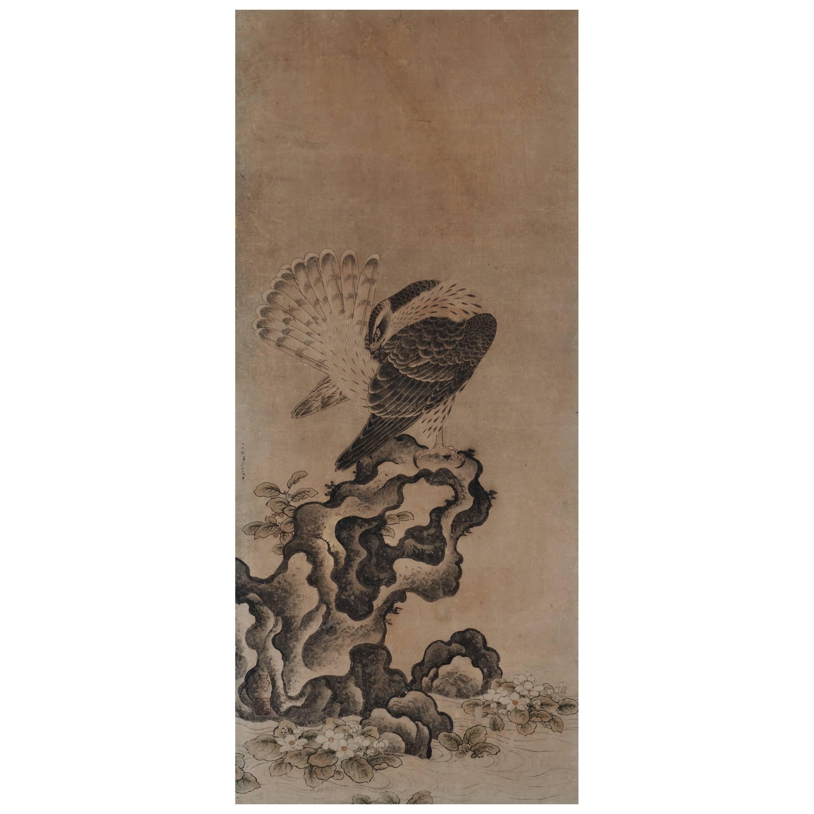 Peinture japonaise, panneau encadré, Falcon du 17ème siècle par Mitani Toshuku en vente