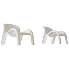 Set of Two Lounge Chairs GN2 by Peter Ghyczy for Reuter´s Form + Life Collection