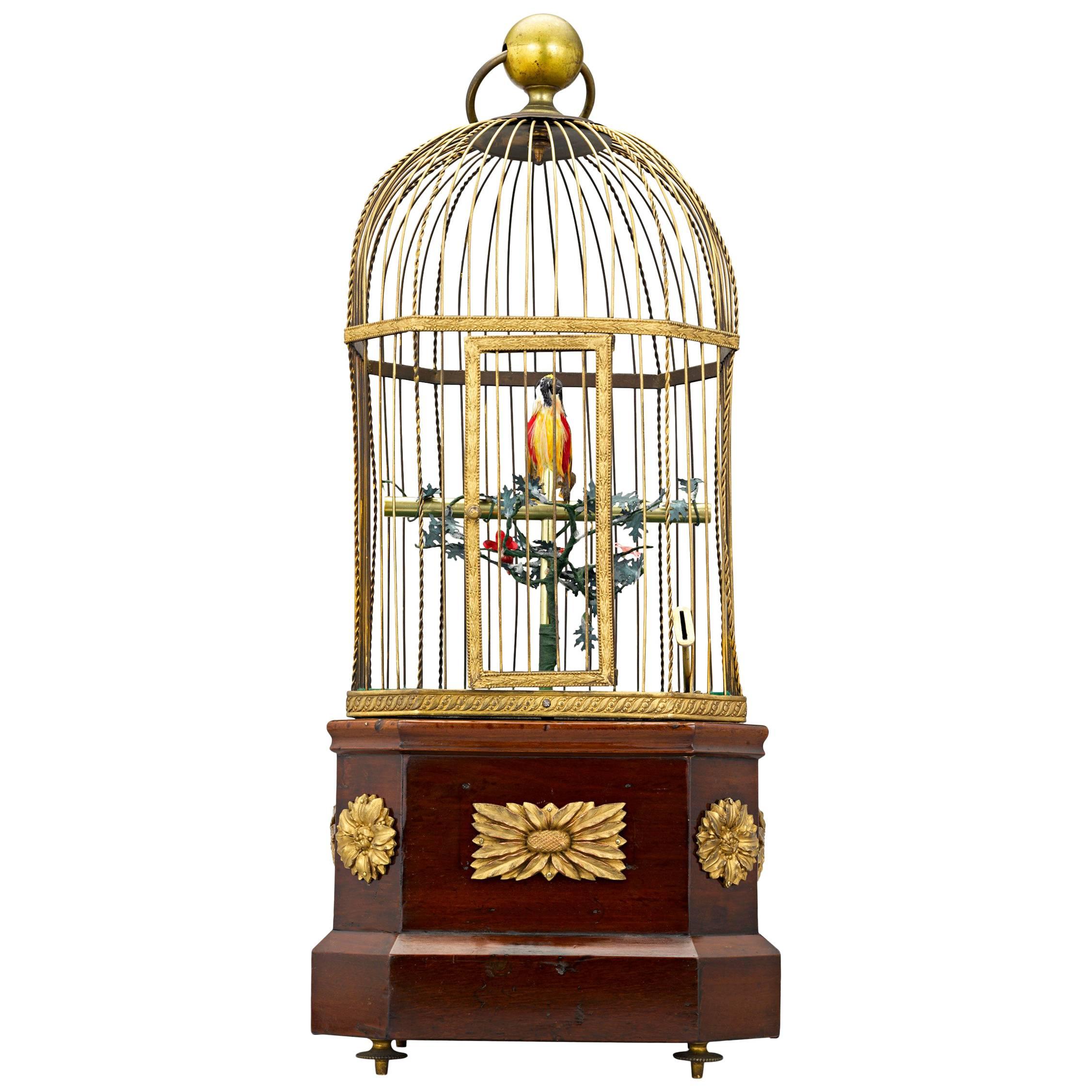 Coin-Operated Singing Bird Cage Automaton