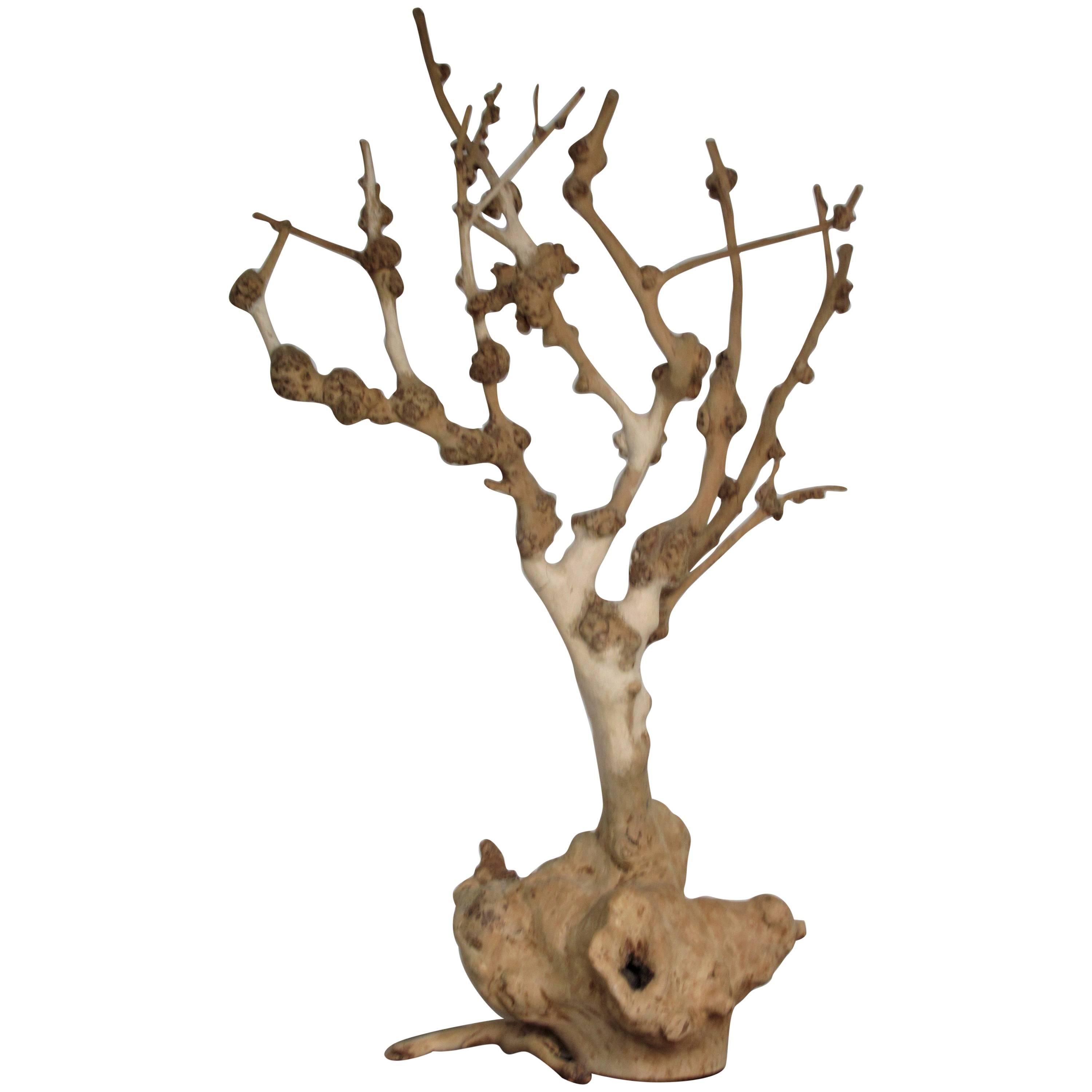 Old Natural Burl Root Tree Form Sculpture