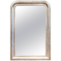 19th Century French Louis Philippe Silver Leaf Wall Mirror with Floral Decor