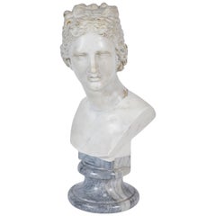 18th Century Italian Marble Bust of Venus