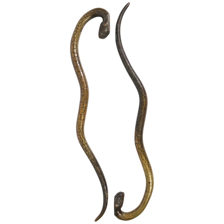 19th Century Bronze Snake Door Handles or Pulls at 1stDibs