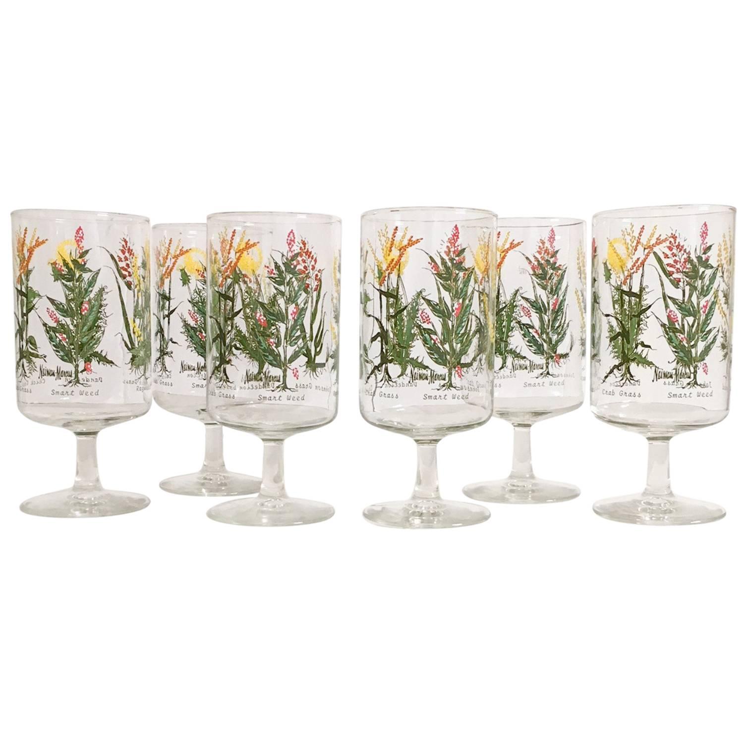 Neiman-Marcus Botanical Glasses, Set of Six