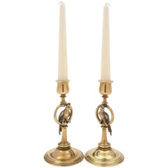 Pair of French Brass Parrot Candlesticks, circa 1900