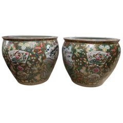 Pair of Chinese Porcelain Fish Bowls