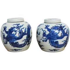Pair of Chinese Blue and White Porcelain Ginger Jars