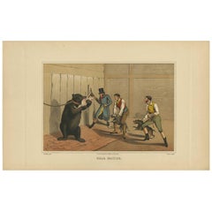 Antique Aquatint 'Bear Baiting' by J. Clark, 1820