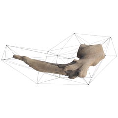 Crust of the Polygon 01 Norihiko Terayama Driftwood Sculpture