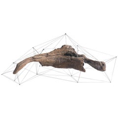 Crust of the Polygon 02 - Sculpture en bois flotté Norihiko Terayama