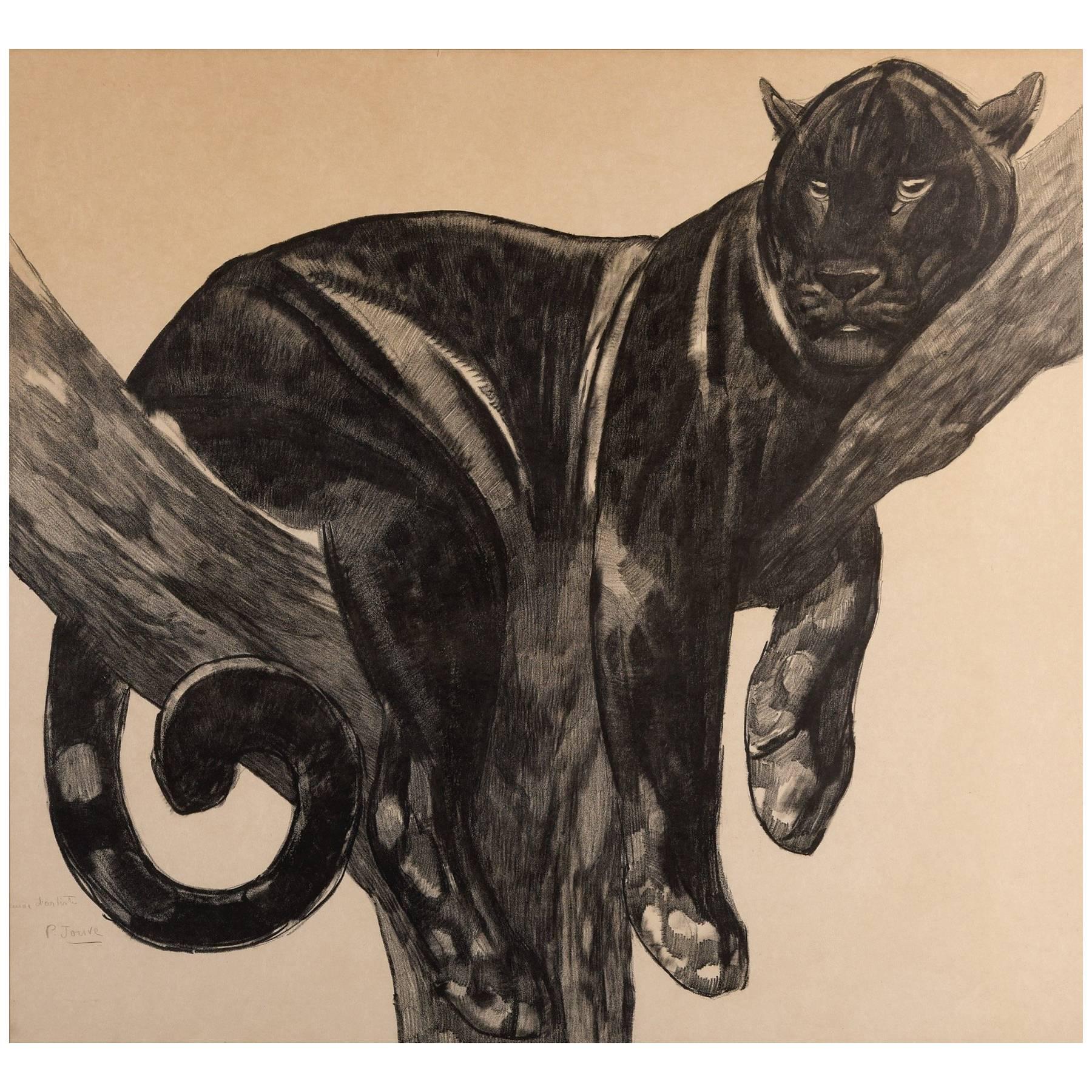 Panther auf einem Branch, Original-Lithographie von Paul Jouve, um 1927