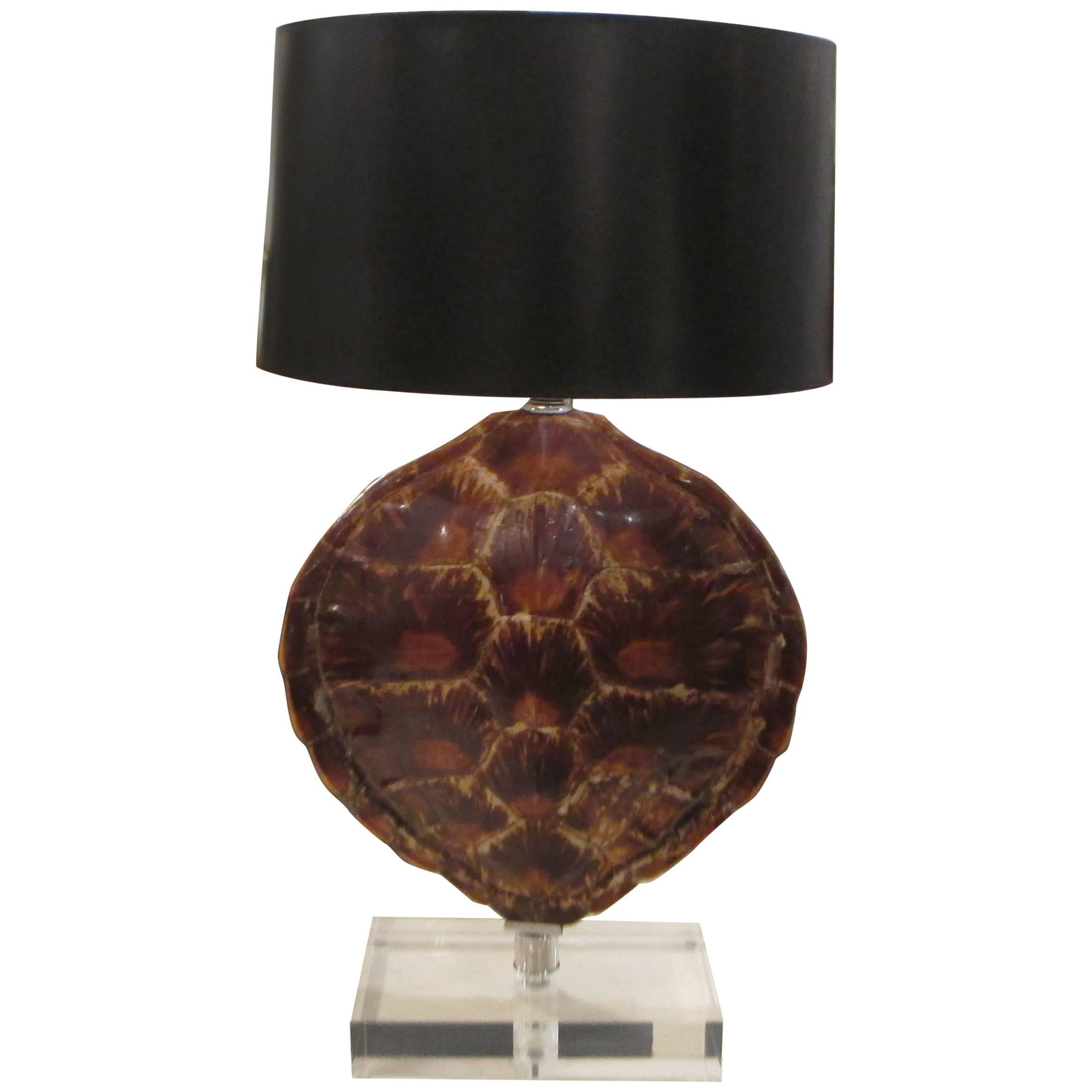 Turtle Shell Lamp For Sale at 1stdibs
